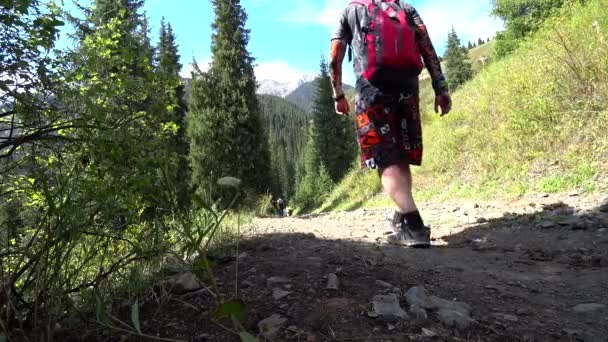 Tizio Con Uno Zaino Cammina Una Foresta Escursioni Sentiero Forestale — Video Stock