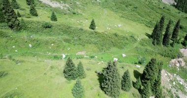 Sırt çantalı bir adam patika boyunca yürüyor. Orman yolları. Yeşil çimenler büyür, uzun köknarlar, çiçekler, taşlar her yerde yatar. Çayırları olan dağlık bir bölge. Tek oyuncu kampanyası. Kazakistan