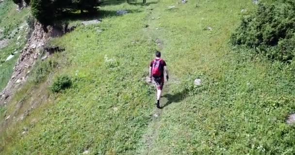 Facet Plecakiem Idzie Szlakiem Ścieżki Leśne Zielona Trawa Rośnie Wysokie — Wideo stockowe