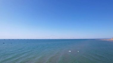 A large flock of ducks is flying over the sea. Clear light green water of the lake and a sandy beach. A flock of birds flies in a wedge. Blue sky and a clean beach. Kazakhstan, Kapchagai