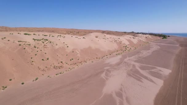 Высокая Песчаная Дюна Берегу Океана Маленькие Желто Зеленые Травы Кусты — стоковое видео