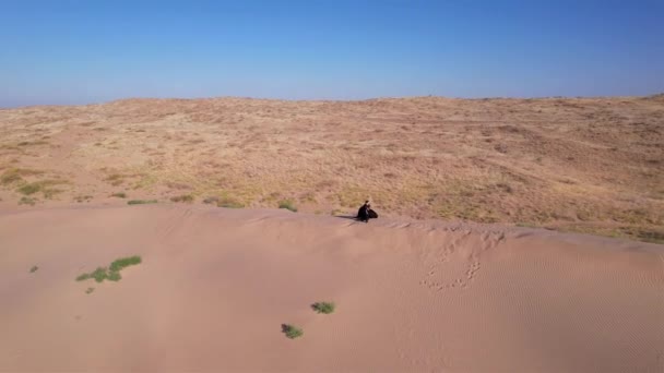 Young Couple Walk Sand Dune Sea Top View Shadow Falls — Stock video