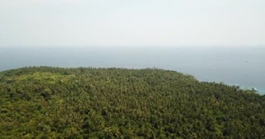 Turkuaz su rengi ve beyaz kum. İnsansız hava aracından, havadan görüntü. Suyun mavi ile koyu mavinin gradyanı. Phuket 'teki Racha adasının yeşil palmiye ağaçları ve tarlaları. Cennetlik kumsal. Tayland