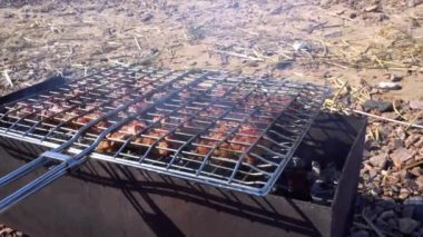 Beautiful pieces of meat lie on the grill with coals. The barbecue stands on the beach, near lake. The meat is fried, there is smoke from coals. Bright day, blue water, yellow sand with dry branches