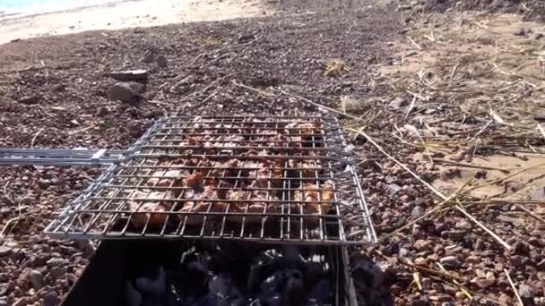 Красиві Шматки Яса Лежать Грилі Вугіллям Барбекю Стоїть Пляжі Недалеко — стокове відео