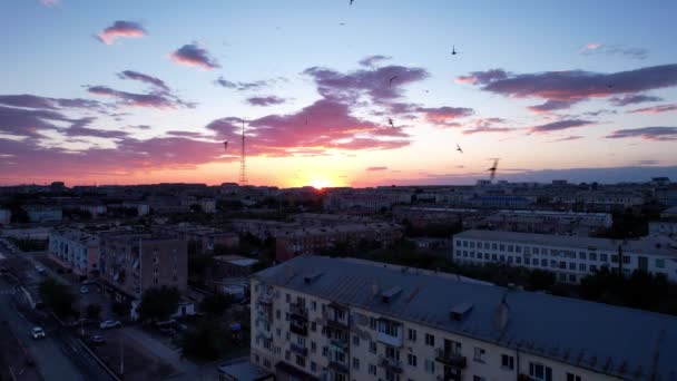 Pink Sunset Small Town Top View Drone Flocks Swifts Fly — Αρχείο Βίντεο