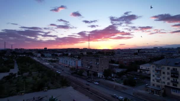 Pink Sunset Small Town Top View Drone Flocks Swifts Fly — Stockvideo