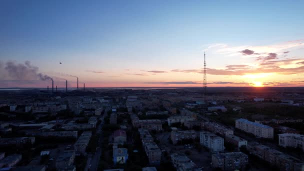 Pink Sunset Small Town Top View Drone Flocks Swifts Fly — Stock Video