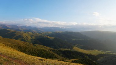 Big white clouds over green hills and mountains. Yellow-green grass covers the mountains, tall green coniferous trees in the gorge. Low bushes grow. A light haze floats on the ground. Assy, Kazakhstan