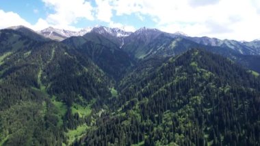 Yüksek dağlar yeşil ormanla kaplıdır. Kar zirveleri uzaktan görülebilir. Kozalaklı ağaçlar tepelerde yetişir. Bir sürü yeşil çimen. Güzel bir vadi. Mavi gökyüzünde beyaz bulutlar. İHA