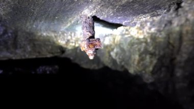Mağaradaki paslı bir vidanın üzerine bir damla. Islak duvarlar. Duvardan aşağı akan damlaların makro fotoğrafı ve eski bir vida. Damlalar damlıyor. Terk edilmiş bir mağara. Mağaracılar mağaranın içini inceler.