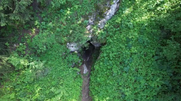 Entrada Oculta Cueva Entre Hierba Verde Arbustos Terreno Montañoso Camino — Vídeo de stock