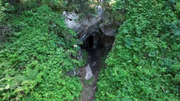 Versteckter Eingang Zur Höhle Zwischen Grünem Gras Und Büschen Bergiges — Stockvideo