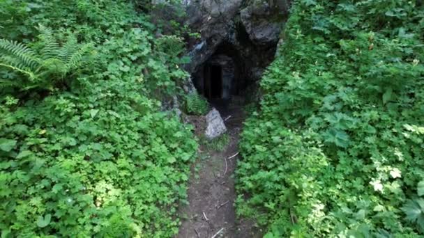 Entrada Oculta Cueva Entre Hierba Verde Arbustos Terreno Montañoso Camino — Vídeos de Stock