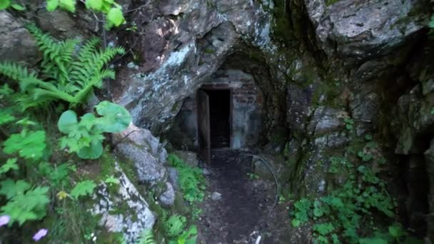Barlang Rejtett Bejárata Zöld Bokrok Között Hegyvidéki Terep Egy Barlanghoz — Stock videók