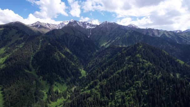 Высокие Горы Покрыты Зеленым Лесом Вдалеке Видны Снежные Вершины Холмах — стоковое видео