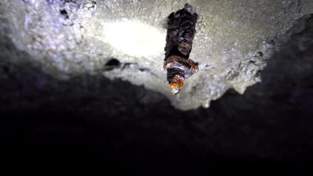 Падіння Старого Іржавого Гвинта Печері Вологі Стіни Макрозйомка Крапель Йдуть — стокове відео