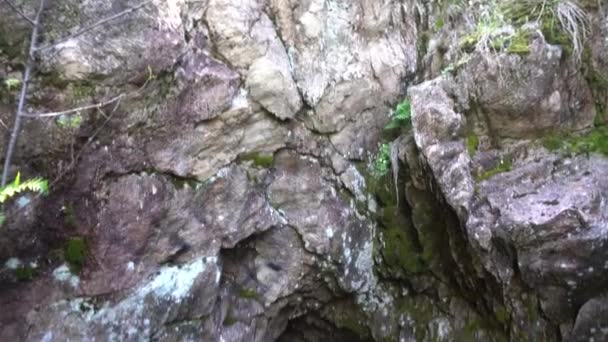 Skrytý Vchod Jeskyně Mezi Zelenou Trávou Křovím Horský Terén Stezka — Stock video