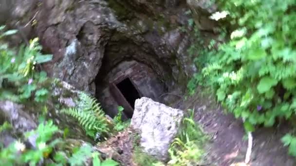 Entrada Oculta Cueva Entre Hierba Verde Arbustos Terreno Montañoso Camino — Vídeos de Stock