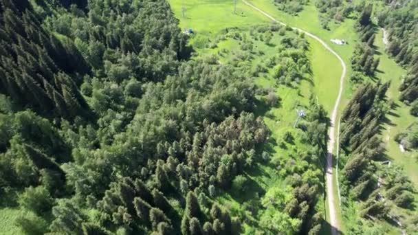 Vista Dall Alto Conifere Campi Visibile Sentiero Attraverso Foresta Terreno — Video Stock