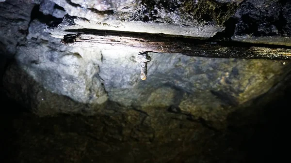 Mağaradaki Paslı Bir Vidaya Bir Damla Asılır Metal Tamamen Paslanmış — Stok fotoğraf