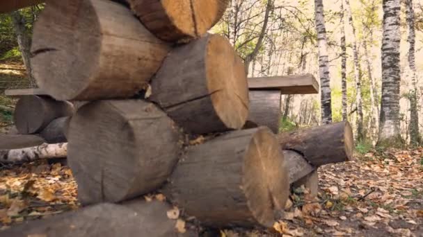 Ξύλινο Παγκάκι Τραπέζι Στο Φθινοπωρινό Δάσος Δάσος Τις Σημύδες Είναι — Αρχείο Βίντεο
