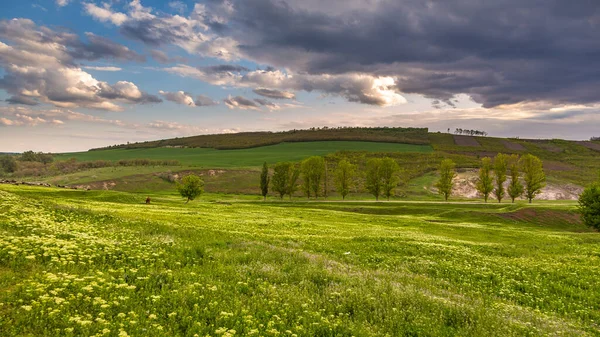 Boerderijen Weiden Het Moldavische Platteland Voorjaarsseizoen Republiek Moldavië — Stockfoto