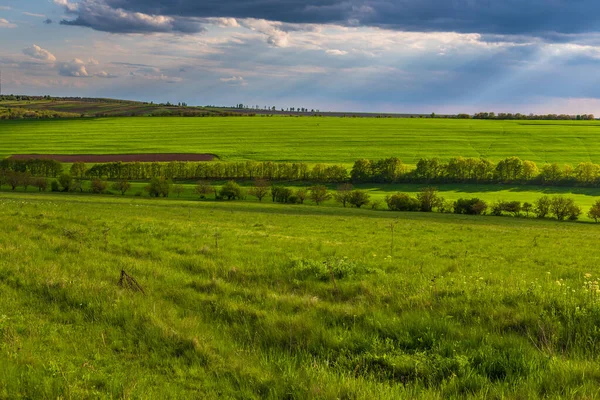 モルダヴィアの田舎の農地と牧草地 モルドバ共和国 — ストック写真