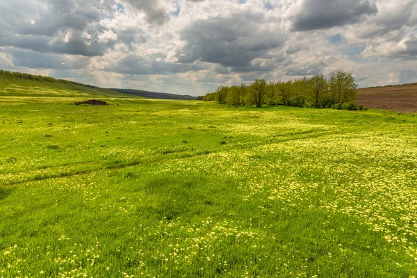 モルダヴィアの田舎の農地と牧草地 モルドバ共和国Iurevica — ストック写真