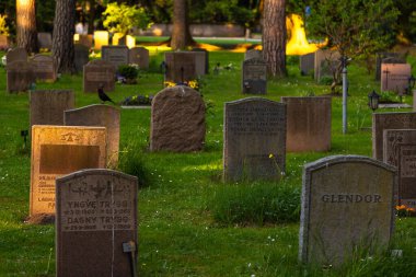 Stockholm, İsveç - 30 Mayıs 2016: Stockholm 'ün güneyindeki Gamla Enskede ilçesinde yer alan Skogskyrkogarden, Woodland Mezarlığı' ndaki mezar taşlarının görüntüsü.