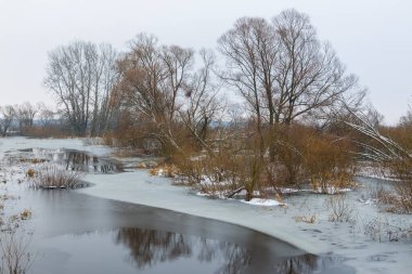 Warta Parkı 'ndaki Warta Nehri' nde kış, Nature 2000, Büyük Polonya, Zagorow, Polonya.