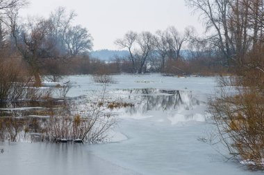 Warta Parkı 'ndaki Warta Nehri' nde kış, Nature 2000, Büyük Polonya, Zagorow, Polonya.