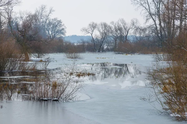 Hiver Rivière Warta Dans Warta Landscape Park Nature 2000 Grande — Photo