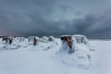 Sopot 'taki güzel kış manzarası. Gdanska Körfezi. Polonya