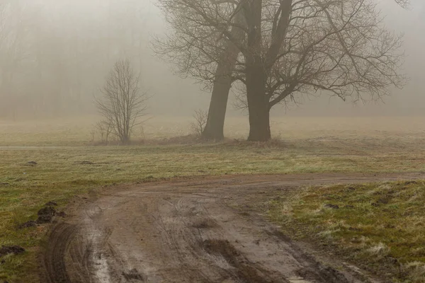 Paysage Rural Par Une Journée Hiver Brumeuse Strzegocin Mazovia Pologne — Photo