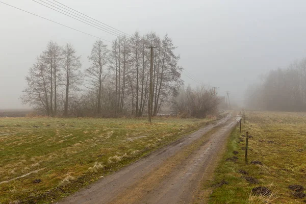 Paysage Rural Par Une Journée Hiver Brumeuse Strzegocin Mazovia Pologne — Photo