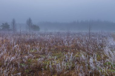 Puslu bir kış gününde kırsal alan. Strzegocin, Mazovia, Polonya.