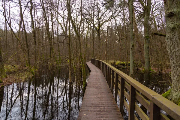 Een Houten Voetgangersbrug Moerassen Het Kampinos National Park Vervelende Winterdag — Stockfoto