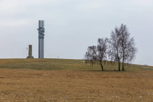 Grunwald Poland February 2018 Fields Monuments Battle Grunwald — стокове фото