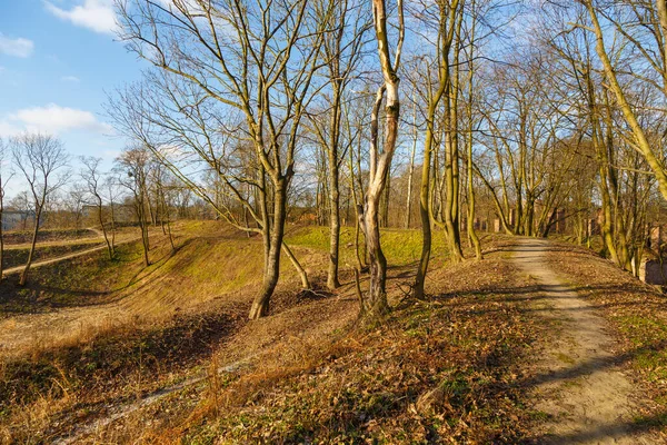 Caminho Floresta Perto Fortaleza Modlin Dia Inverno Ensolarado Nowy Dwor — Fotografia de Stock