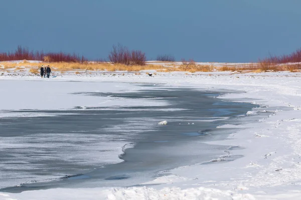 Île Sobieszewska Pologne Nord Mars 2018 Des Gens Promenade Sur — Photo