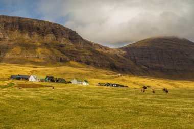 Vagar Adası 'ndaki Gasadalur manzarası. Bir tepenin yamacında küçük bir köy. Gasadalur, Faroe Adaları.