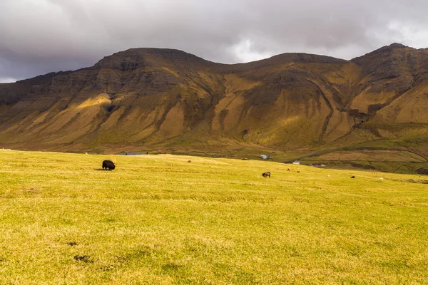 Berglandschaft Auf Der Insel Vagar Bewölkter Frühlingstag Färöer — Stockfoto