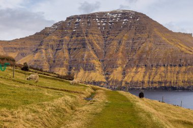 Bordoy adasının dik kıyıları. Atlas Okyanusu, Muli, Faroe Adaları 'ndaki volkanik takımadalar.