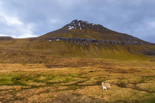 Paysage Montagneux Sur Île Streymoy Jour Printemps Nuageux Neige Dans — Photo