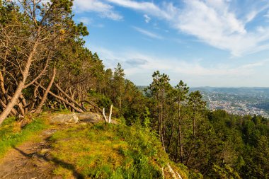 Floyen tepesindeki orman. Arka planda Bergen kasabası görünüyor. Bergen, Norveç.