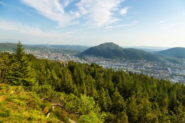 Floyen tepesindeki orman. Arka planda Bergen kasabası görünüyor. Bergen, Norveç.