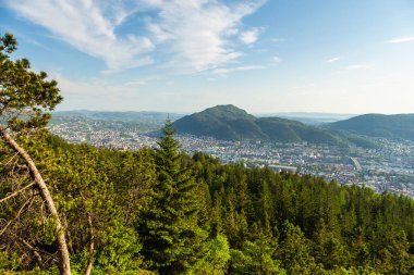 Floyen tepesindeki orman. Arka planda Bergen kasabası görünüyor. Bergen, Norveç.