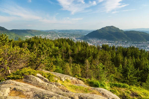 佛洛依山上的森林背景是卑尔根镇的景观 挪威卑尔根 — 图库照片