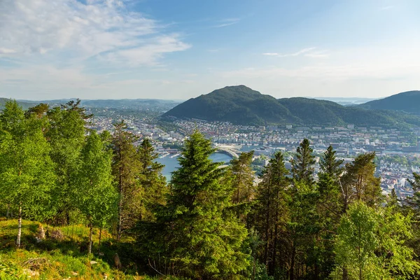 Skogen Floyen Kullen Utsikt Över Bergen Stad Bakgrunden Bergen Norge — Stockfoto